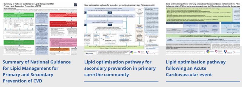 Explore the latest tools and guidelines on our website designed to support effective lipid management in clinical practice, which includes:

➡ Summary of National Guidance for Lipid Management for Primary and Secondary Prevention of CVD

➡Lipid optimisation pathway for