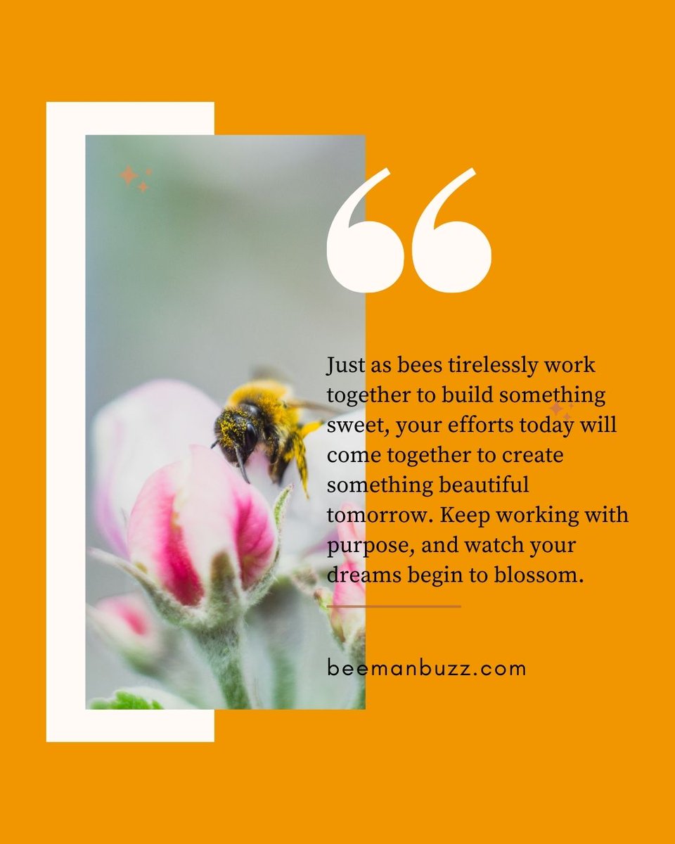 This Monday, set the tone for your week with purpose and watch your aspirations begin to bloom.

Stay focused, keep moving forward, and let your efforts take root. Every step you take today builds the future you desire!

#MondayMotivation #BeeInspired #KeepGrowing #BeeManBuzz