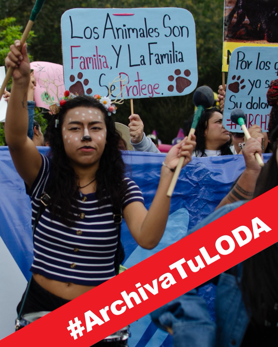 Protección Animal EC (@paeecuador) on Twitter photo En #LODA la <a href="/BiodiversidadAN/">Comisión de la Biodiversidad y Recursos Naturales</a> permite el uso de collares de ahogo, de púas y otras técnicas de adiestramiento canino y terapia de comportamiento de carácter aversivo, punitivo o coercitivo. <a href="/AsambleaEcuador/">Asamblea Nacional</a> no pasen a la historia como #AbanderadosDelMaltratoAnimal #ArchivaTuLODA En #LODA la <a href="/BiodiversidadAN/">Comisión de la Biodiversidad y Recursos Naturales</a> permite el uso de collares de ahogo, de púas y otras técnicas de adiestramiento canino y terapia de comportamiento de carácter aversivo, punitivo o coercitivo. <a href="/AsambleaEcuador/">Asamblea Nacional</a> no pasen a la historia como #AbanderadosDelMaltratoAnimal #ArchivaTuLODA