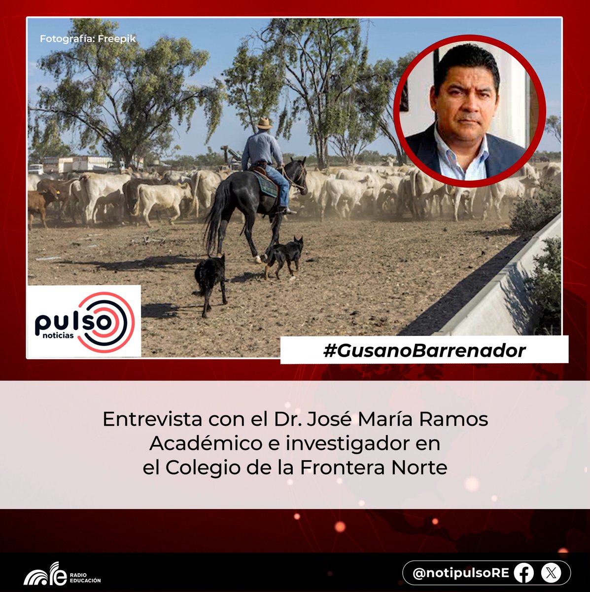 "Acción binacional urgente: reforzar certificaciones y programas para proteger salud y exportaciones"

El Dr. José María Ramos del <a href="/elcolef/">El Colef</a>, explicó la suspesión de importación por riesgo del #GusanoBarrenador 

▶️e-radio.edu.mx/Noticiarios-pu…
