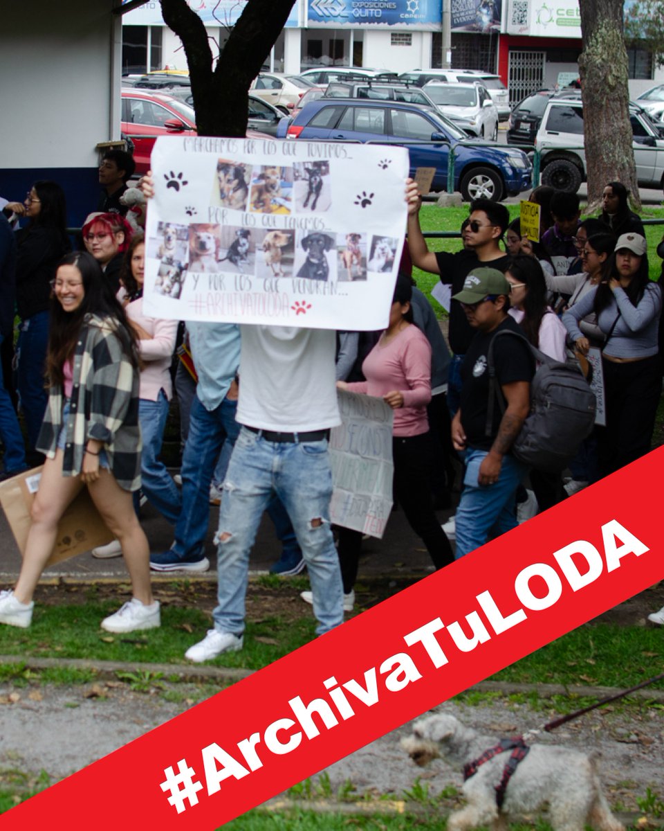Protección Animal EC (@paeecuador) on Twitter photo En la #LODA la <a href="/BiodiversidadAN/">Comisión de la Biodiversidad y Recursos Naturales</a> permite que los criaderos de perros trabajen sin regulaciones. También permitirá la venta de animales de compañía en la calle previa “autorización” <a href="/AsambleaEcuador/">Asamblea Nacional</a> no pasen a la historia como #AbanderadosDelMaltratoAnimal #ArchivaTuLODA En la #LODA la <a href="/BiodiversidadAN/">Comisión de la Biodiversidad y Recursos Naturales</a> permite que los criaderos de perros trabajen sin regulaciones. También permitirá la venta de animales de compañía en la calle previa “autorización” <a href="/AsambleaEcuador/">Asamblea Nacional</a> no pasen a la historia como #AbanderadosDelMaltratoAnimal #ArchivaTuLODA