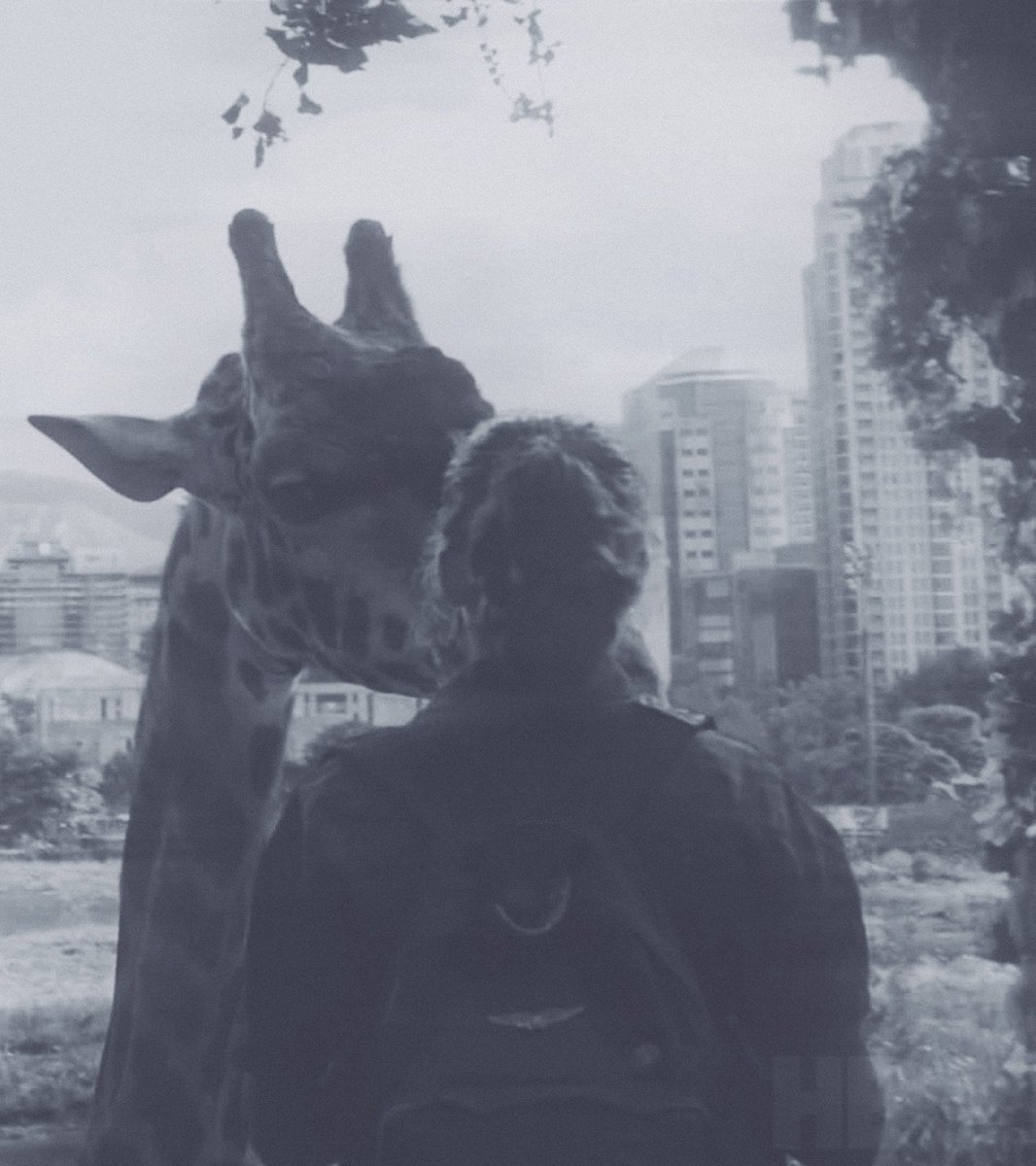 ᴊᴏᴇʟ ᴍɪʟʟᴇʀ ░ tweet media