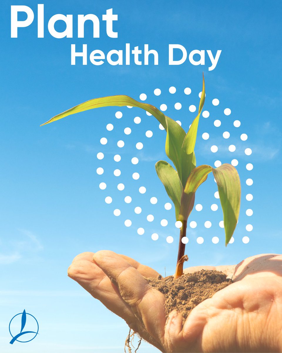 Today on #PlantHealthDay, we celebrate the roots of a healthier planet. At TIMAC AGRO, our products boost plant resilience, root growth, &amp; nutrient uptake, driving sustainable agriculture from the ground up.  

#SustainableFarming #HealthyPlants #farmthefuture