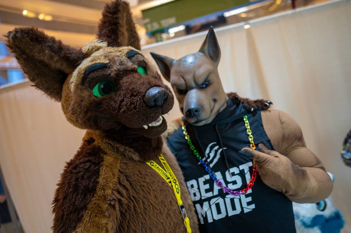 cainenines's tweet photo. Dogs doin dog things at @FurryWeekend

#furry #fursuit #puppy #dog #xolo #GermanShepherd #gshep #fwa #FWA25 https://t.co/gL5cnqoqTc