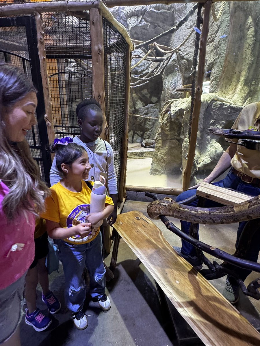 πΈπππ© πΎππ«π«ππ¨ππͺ (@msgazzaway) on Twitter photo Our <a href="/OutleyE/">Outley Elementary</a> third graders had a blast today at the Houston Interactive Aquarium & Animal Preserve. What an incredible experience! <a href="/AliefScience/">Alief Science</a> <a href="/AliefISD/">Alief ISD</a> #ScienceEveryDay Our <a href="/OutleyE/">Outley Elementary</a> third graders had a blast today at the Houston Interactive Aquarium & Animal Preserve. What an incredible experience! <a href="/AliefScience/">Alief Science</a> <a href="/AliefISD/">Alief ISD</a> #ScienceEveryDay