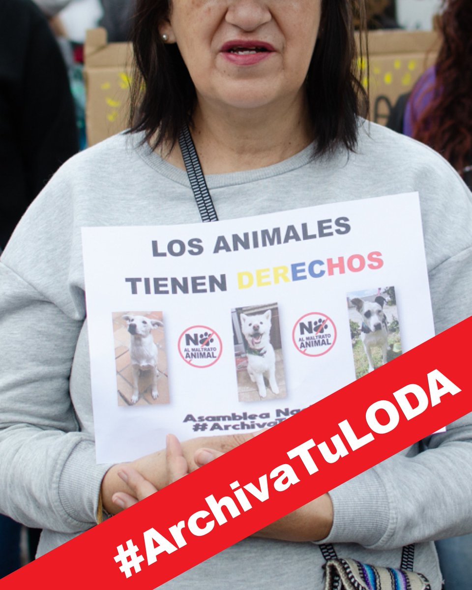 Protección Animal EC (@paeecuador) on Twitter photo La #LODA no define un ente o institución que vigile las condiciones de Bienestar Animal en la ruralidad, dejando así a millones de animales en absoluta indefensión. <a href="/AsambleaEcuador/">Asamblea Nacional</a> no pasen a la historia como #AbanderadosDelMaltratoAnimal #ArchivaTuLODA La #LODA no define un ente o institución que vigile las condiciones de Bienestar Animal en la ruralidad, dejando así a millones de animales en absoluta indefensión. <a href="/AsambleaEcuador/">Asamblea Nacional</a> no pasen a la historia como #AbanderadosDelMaltratoAnimal #ArchivaTuLODA