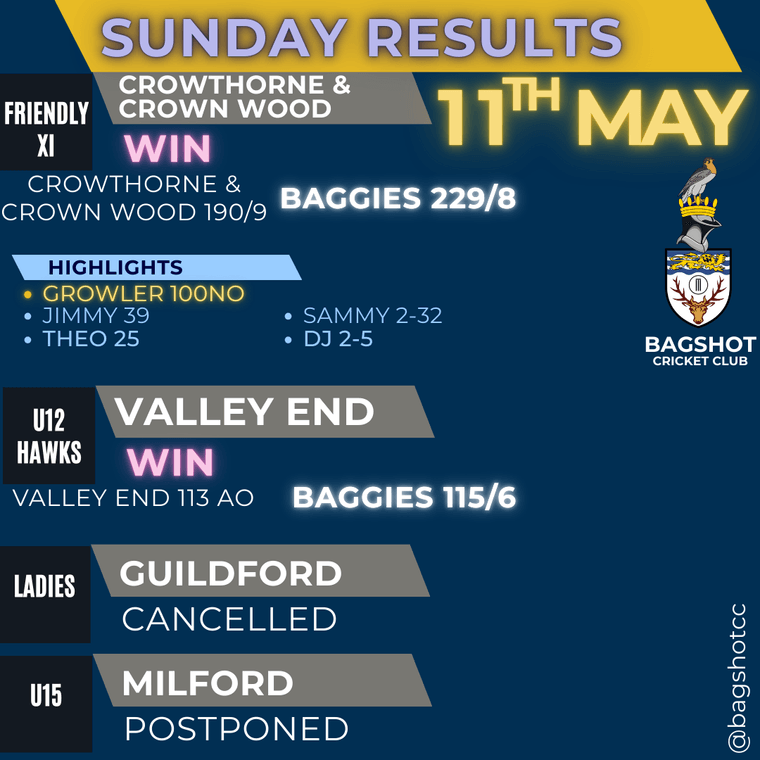 Bagshot Cricket Club tweet media