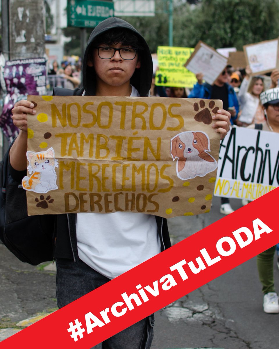 Protección Animal EC (@paeecuador) on Twitter photo La #LODA no solo que no representa ningún avance en defensa y protección de los animales, en muchos artículos muestra un RETROCESO en Derechos y protege actividades contrarias a su bienestar. <a href="/AsambleaEcuador/">Asamblea Nacional</a> ¿serán #AbanderadosDelMaltratoAnimal? #ArchivaTuLODA La #LODA no solo que no representa ningún avance en defensa y protección de los animales, en muchos artículos muestra un RETROCESO en Derechos y protege actividades contrarias a su bienestar. <a href="/AsambleaEcuador/">Asamblea Nacional</a> ¿serán #AbanderadosDelMaltratoAnimal? #ArchivaTuLODA