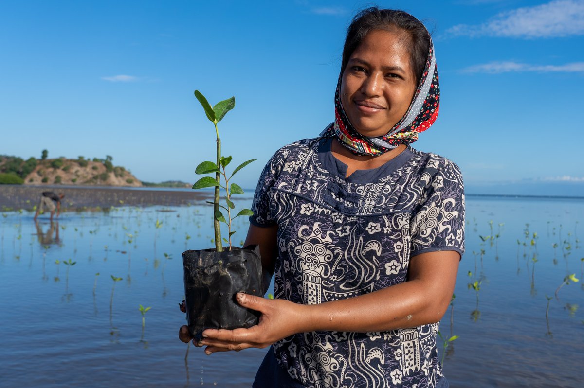 Achim Steiner tweet media