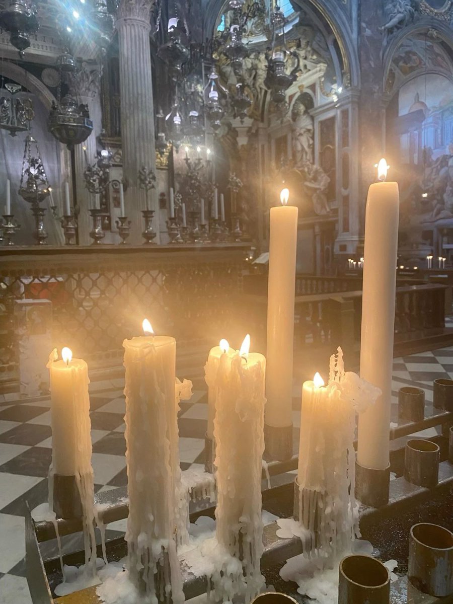 snuze † tweet media