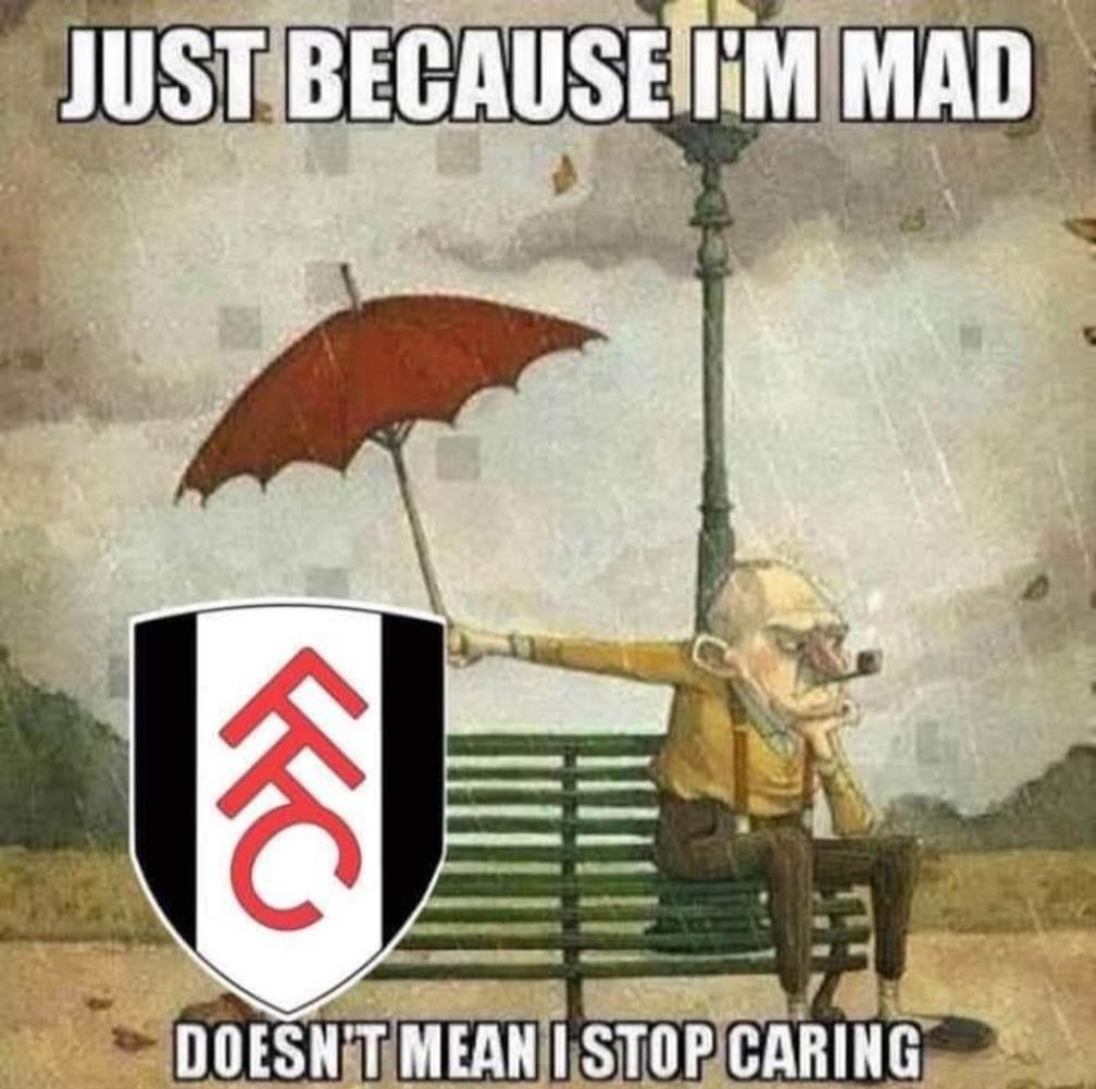 FulhamTransfer's tweet image. So True! 🖤🤍
#FFC