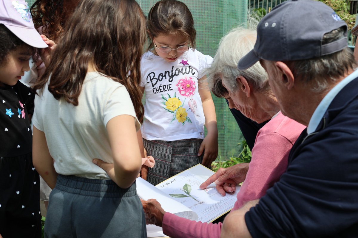 FAO Brussels (@faobrussels) on Twitter photo Today, <a href="/FAOBrussels/">FAO Brussels</a> teamed up with #GoodPlanet & Ferme du parc Maximilien to celebrate #PlantHealthDay with a precious intergenerational exchange: kids & seniors came together to explore how healthy plants & soils support food security, biodiversity & the health of our planet! Today, <a href="/FAOBrussels/">FAO Brussels</a> teamed up with #GoodPlanet & Ferme du parc Maximilien to celebrate #PlantHealthDay with a precious intergenerational exchange: kids & seniors came together to explore how healthy plants & soils support food security, biodiversity & the health of our planet!