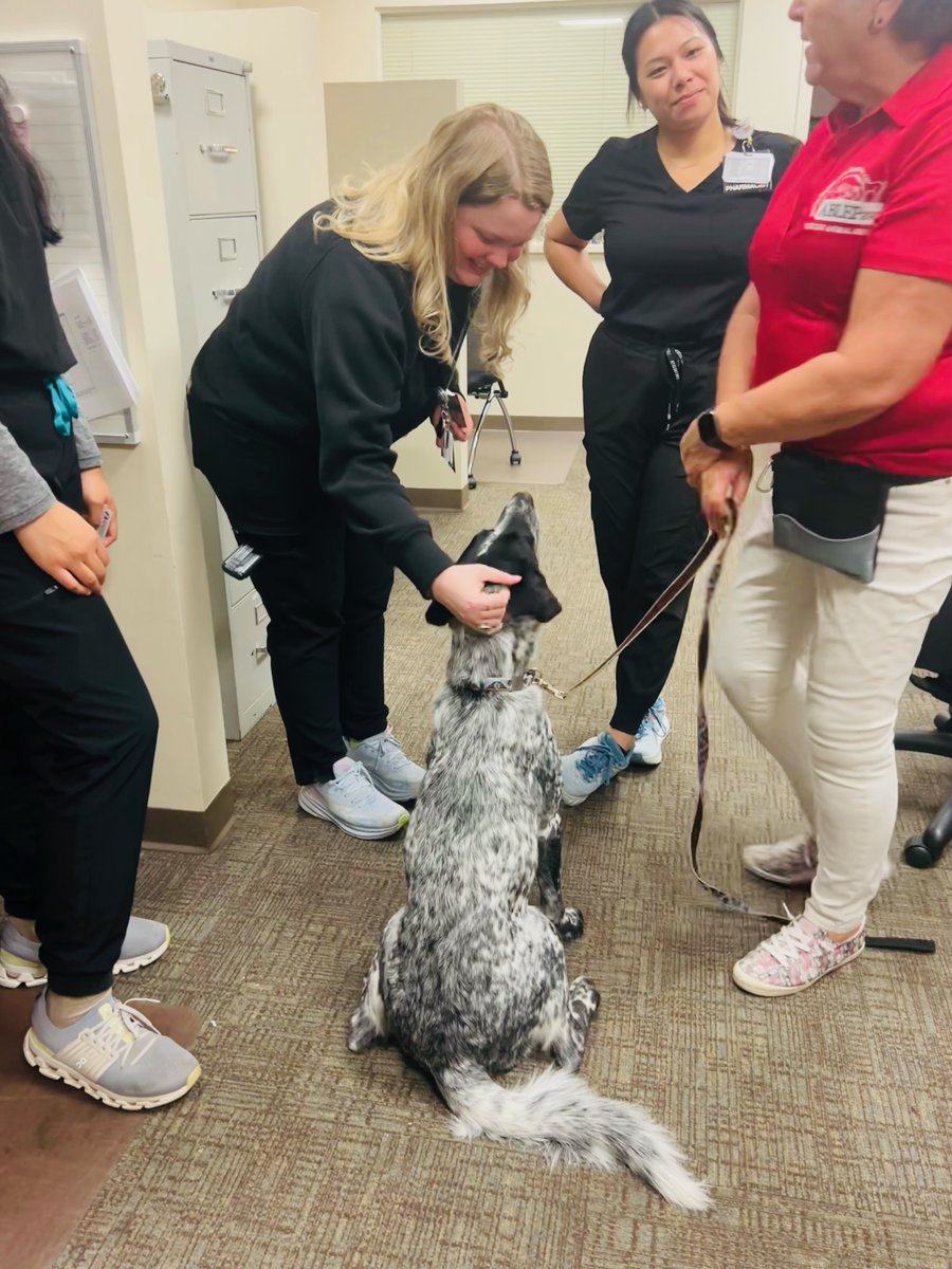 We've had some special friends drop by at the Infirmary! Central Arkansas Pet Partners said hello with some very well-behaved visitors! These gentle dogs are so good at helping patients have joy and calmness during difficult times.

14/10 for everyone.

#HelloHumankindness