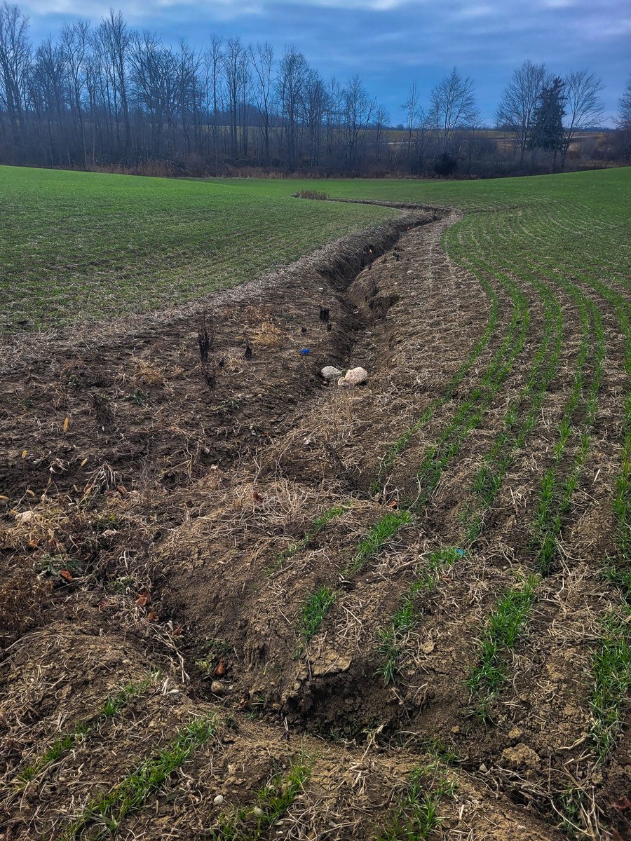 Overland runoff can reduce soil health, negatively impact water quality, and decrease the resilience of soils in a changing climate.

Erosion control projects will promote retaining nutrients and soil in the field. Contact us today for erosion control projects and potential