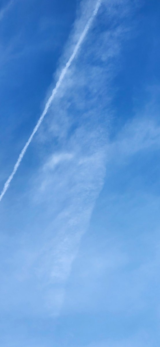 e23428814's tweet photo. @BrianMc98678474 @Chemtrail101 What the f*** that's not a cartoon This is all in new england https://t.co/dwDuJrs0a3