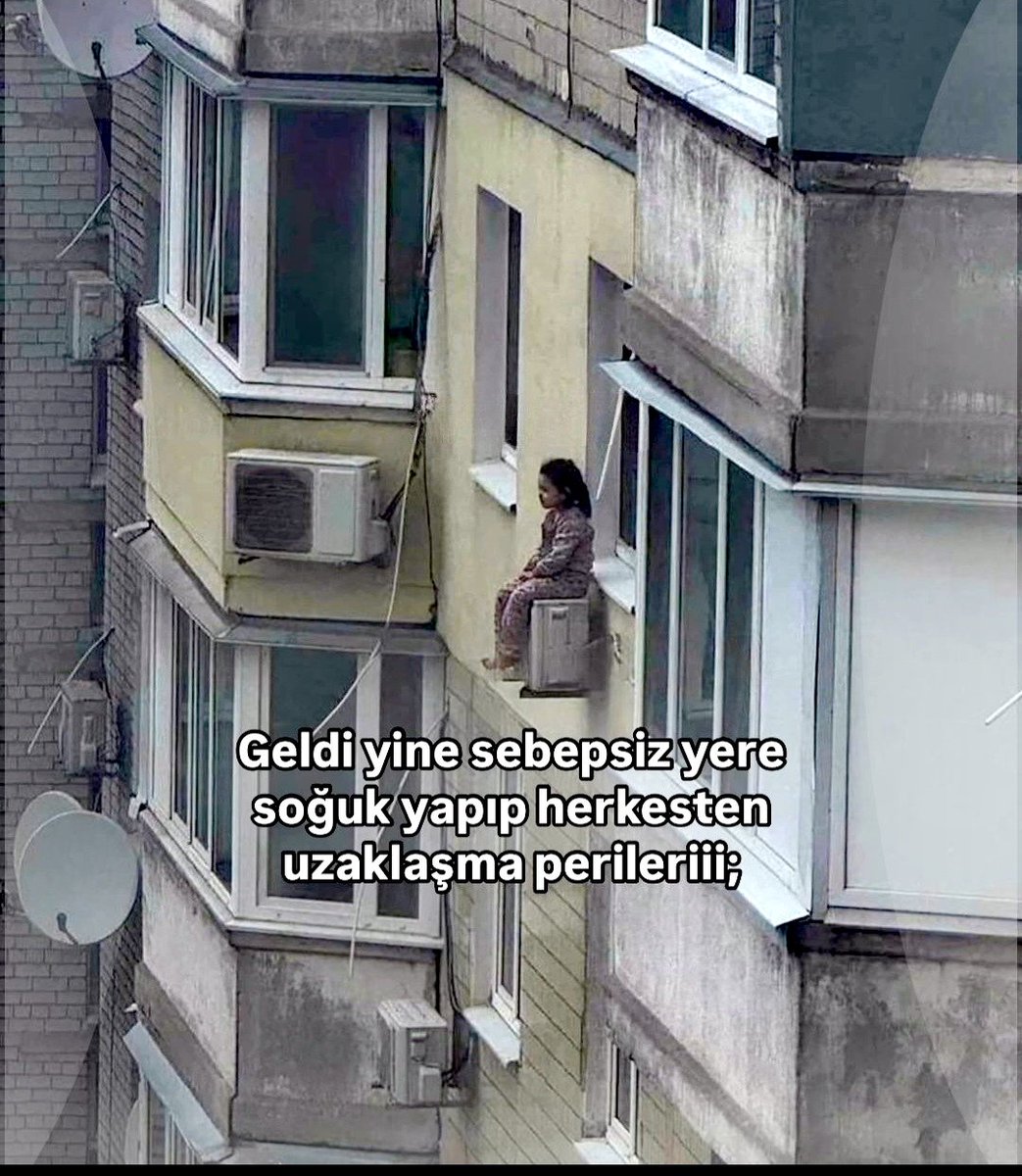 Nermin (@_asosyalkoala) on Twitter photo 