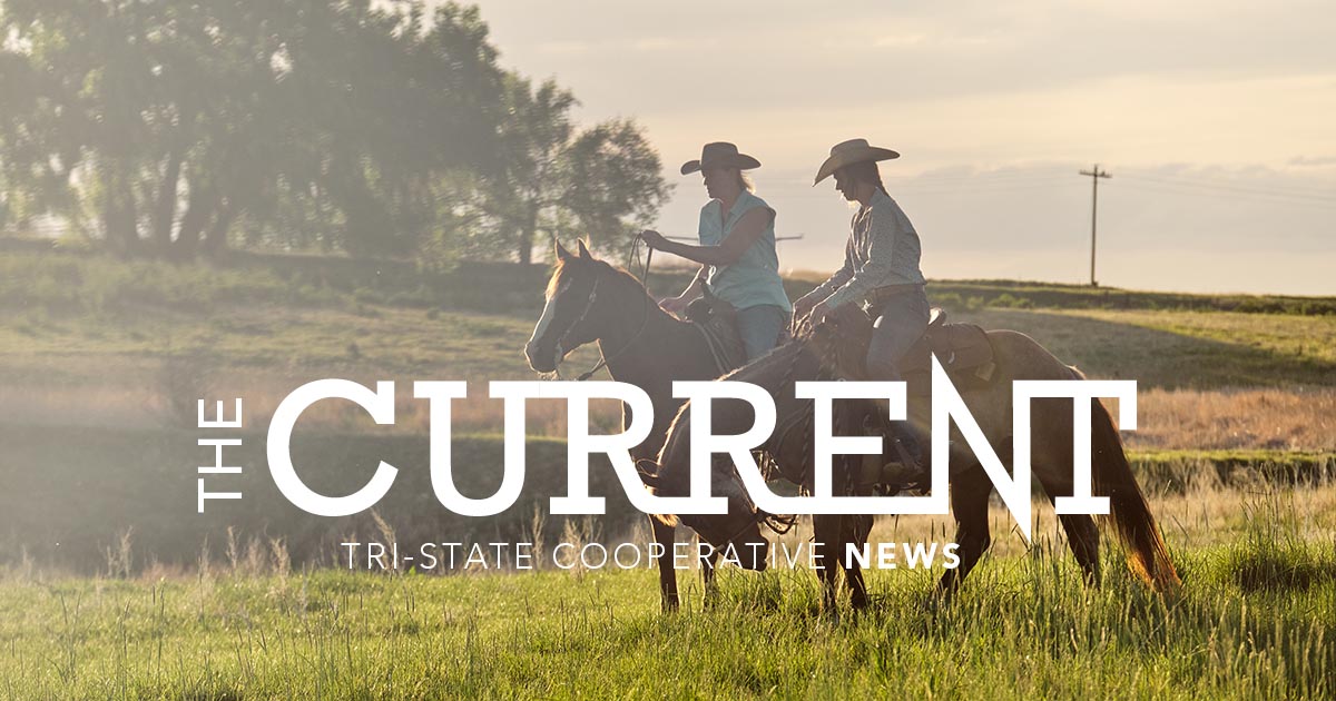 🚨📣 New May Issue: The Current Newsletter ⚡️📰 

Catch up on all things Tri-State ✅ link here: bit.ly/453TIrd

#Cooperative #BetterTogether #TriStateCoop