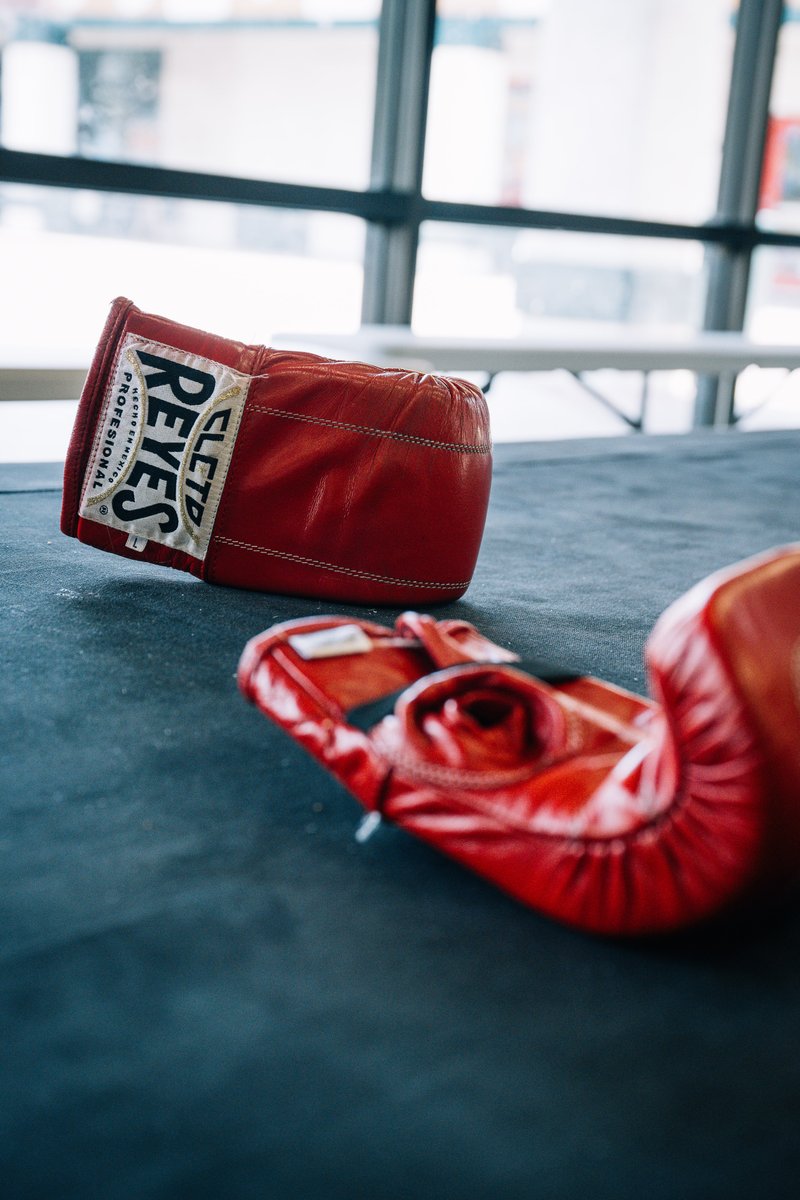 It’s not just about choosing gloves.
It’s about choosing the ones that will be there for every punch, every fall, and every comeback.

Train with the best. Fight with the best.
Choose Cleto Reyes.
cletoreyesshop.com
#boxing #cletoreyes #boxeo #training #boxeo
