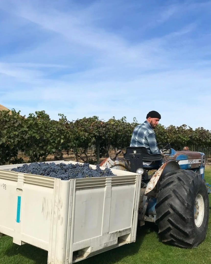 Wa_State_Wine's tweet image. Candy Mountain AVA - Washington&apos;s smallest #viticulture region! Located just southeast of #redmtn, it shares a similar warm climate &amp;amp; higher winds &amp;amp; is part of a series of 4 mountains in the area: Red Mountain, Badger Mountain &amp;amp; Little Badger Mountain.