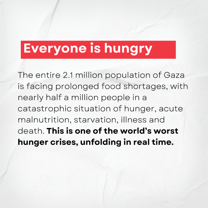WHO's tweet photo. End the aid blockade!

People in Gaza are dying while WHO and partners' medical supplies and food are minutes away, ready for deployment. WHO calls for the release of all hostages and a ceasefire.

Peace is the only medicine.