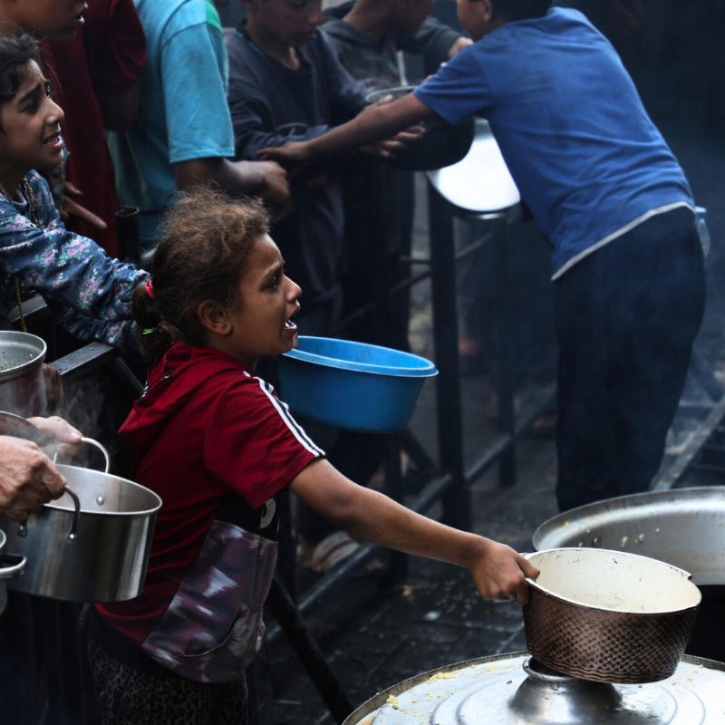 WHO's tweet photo. End the aid blockade!

People in Gaza are dying while WHO and partners' medical supplies and food are minutes away, ready for deployment. WHO calls for the release of all hostages and a ceasefire.

Peace is the only medicine.