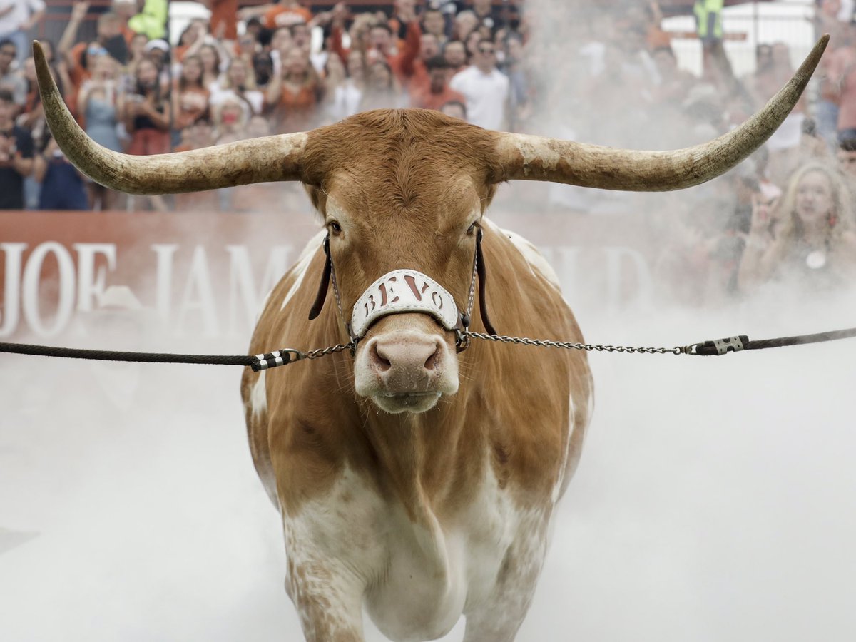 BigSid 4⭐️ OT/DE (@rouleausidney) on Twitter photo Texas Offered 🤘🏼🤘🏼🟠⚪️
#HookEm <a href="/KJJFlood/">Kyle Flood</a> <a href="/MikeWakins/">Mike Watkins</a> <a href="/CoachJohnReagan/">John Reagan</a> <a href="/TonyGrecoTG/">Tony Greco</a> <a href="/CoachSark/">Steve Sarkisian</a> <a href="/TexasFootball/">Texas Football</a> <a href="/RivalsRichie/">Richie O’Leary</a> <a href="/RivalsFriedman/">Adam Friedman</a> <a href="/ChadSimmons_/">ChadSimmons</a> Texas Offered 🤘🏼🤘🏼🟠⚪️
#HookEm <a href="/KJJFlood/">Kyle Flood</a> <a href="/MikeWakins/">Mike Watkins</a> <a href="/CoachJohnReagan/">John Reagan</a> <a href="/TonyGrecoTG/">Tony Greco</a> <a href="/CoachSark/">Steve Sarkisian</a> <a href="/TexasFootball/">Texas Football</a> <a href="/RivalsRichie/">Richie O’Leary</a> <a href="/RivalsFriedman/">Adam Friedman</a> <a href="/ChadSimmons_/">ChadSimmons</a>