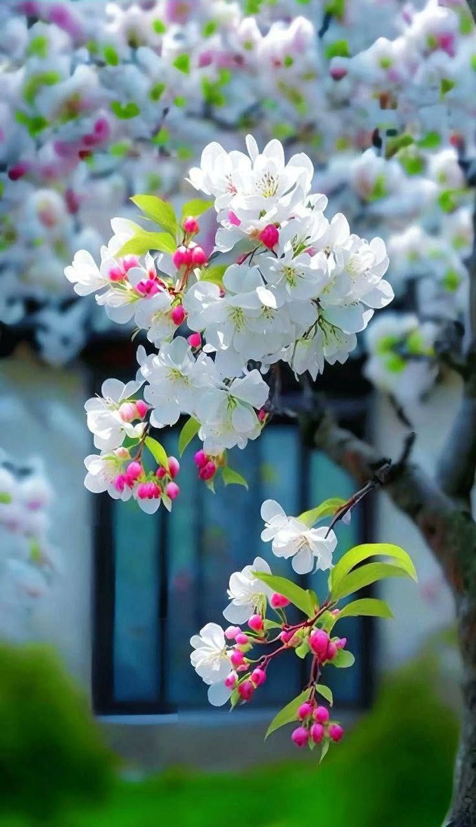 وتظنُّ أنك #خسرت 
والحقيقه أنّ ما خسرته تمهيدًا لمكسب عظيم سيكافئ الله قلبك به