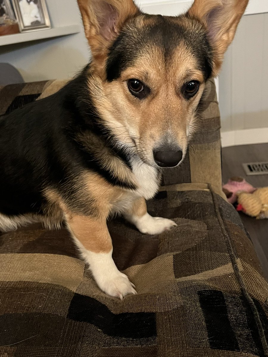 Kat 🐱 tweet media