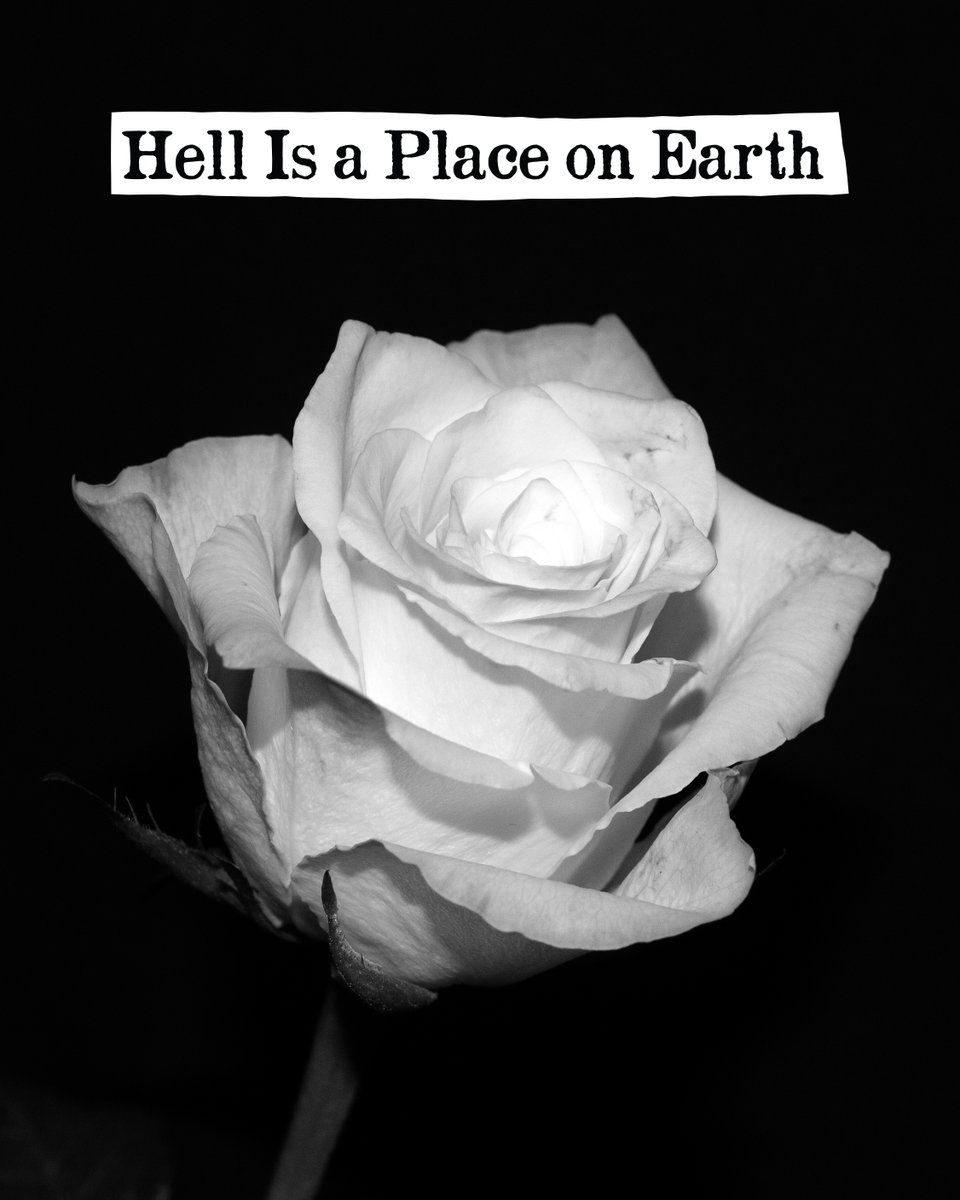 Are you still here? I don't plan on being here after this. I'm 'just hopping on' to let you know that the first Scotch Funeral release in some time is out on Friday, you know where to find it, and you can pre-save here: ditto.fm/hell-is-a-plac…

#newmusic #garagepunk #punk