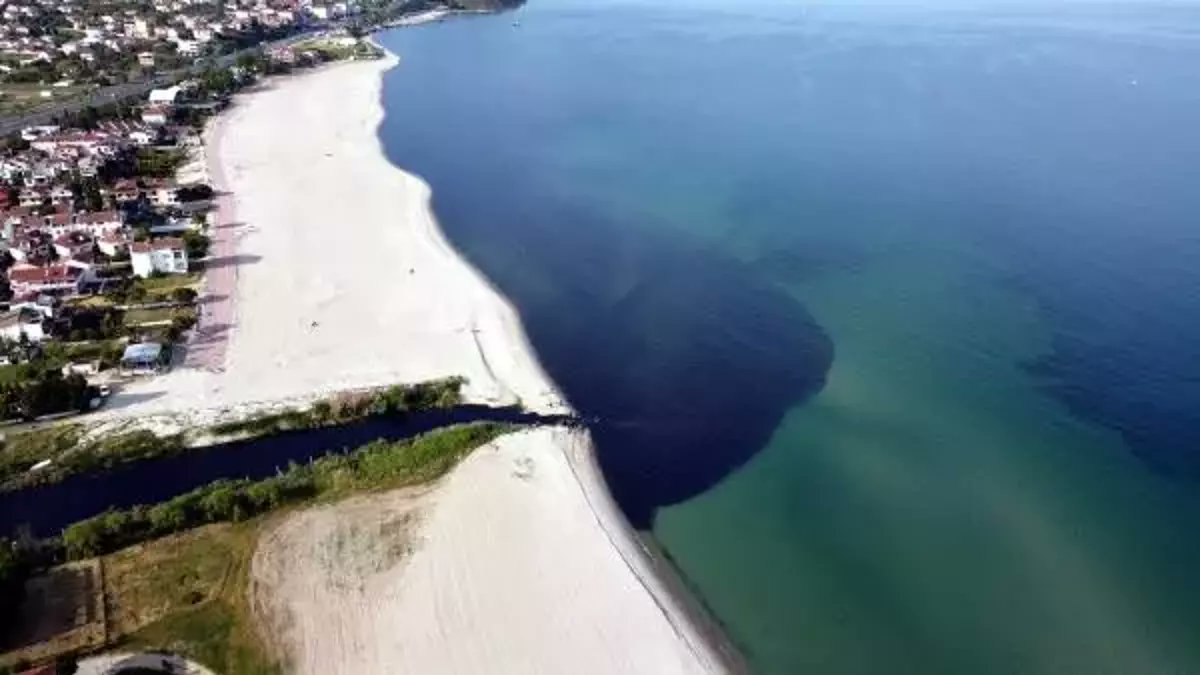 Prof. Dr. Mustafa Sarı:

Sanayi atıklarının %70'i arıtılmıyor. En iyi ihtimalle %30'u arıtılıyor. Geri kalanı denize boca ediliyor.

#MarmaraDeniziÖlüyor

dha.com.tr/gundem/mbbden-…