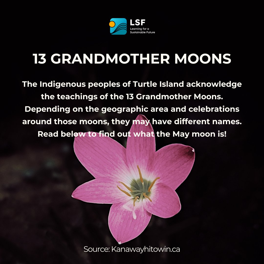 May: Flower Moon 🌸

The fifth moon of Creation is Flower Moon, where all plants display their Spirit sides for all the world to see. Flowers and medicines are given life and begin to bloom. 

Mai: Lune des Fleurs 🌺

La cinquième lune de la Création est la Lune des Fleurs!