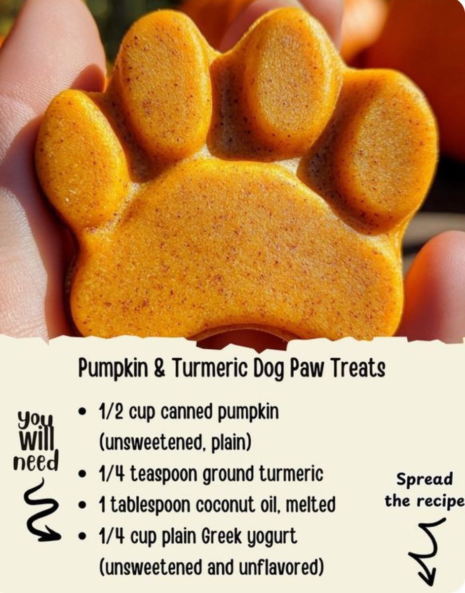 HopeandTrinity's tweet photo. Check out this fight test to keep you cool this summer. Pumpkin &amp; Turmeric treats! Recipe below. Follow for more natural treats and pet remedies for a healthier pet. 💜 Hope &amp; Trinity #hopeandtrinity #healthydog #naturalremedies #tumeric https://t.co/2nk2BeJNrr