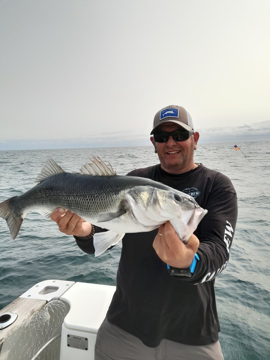 steevedoucet's tweet image. Loubine 
@pafex_france
@damikicraft
#predatorfishing #seafishing #saltywater #fishingislife #saltwaterfishing #lunker #fishing #fishingtime #fishingtrip #sea #seaangler #lurefishing #outdoors #seabass #seabassfishing #pecheenmer #pêche #pesca #catchandrelease #pêcheur