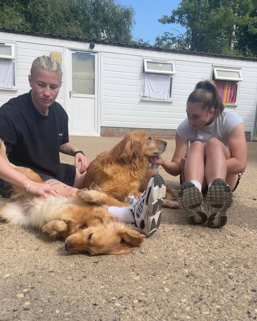 Bethany England (@bethany_eng15) on Twitter photo Tail wags, belly rubs, and a whole lot of love. 🐶 Always have the best time visiting <a href="/AllDogsMatter/">All Dogs Matter</a>. Their mission to help dogs find loving homes is just incredible! ✨
To find out more about the charity and how to support, please visit: alldogsmatter.co.uk 🫶🏼 Tail wags, belly rubs, and a whole lot of love. 🐶 Always have the best time visiting <a href="/AllDogsMatter/">All Dogs Matter</a>. Their mission to help dogs find loving homes is just incredible! ✨
To find out more about the charity and how to support, please visit: alldogsmatter.co.uk 🫶🏼