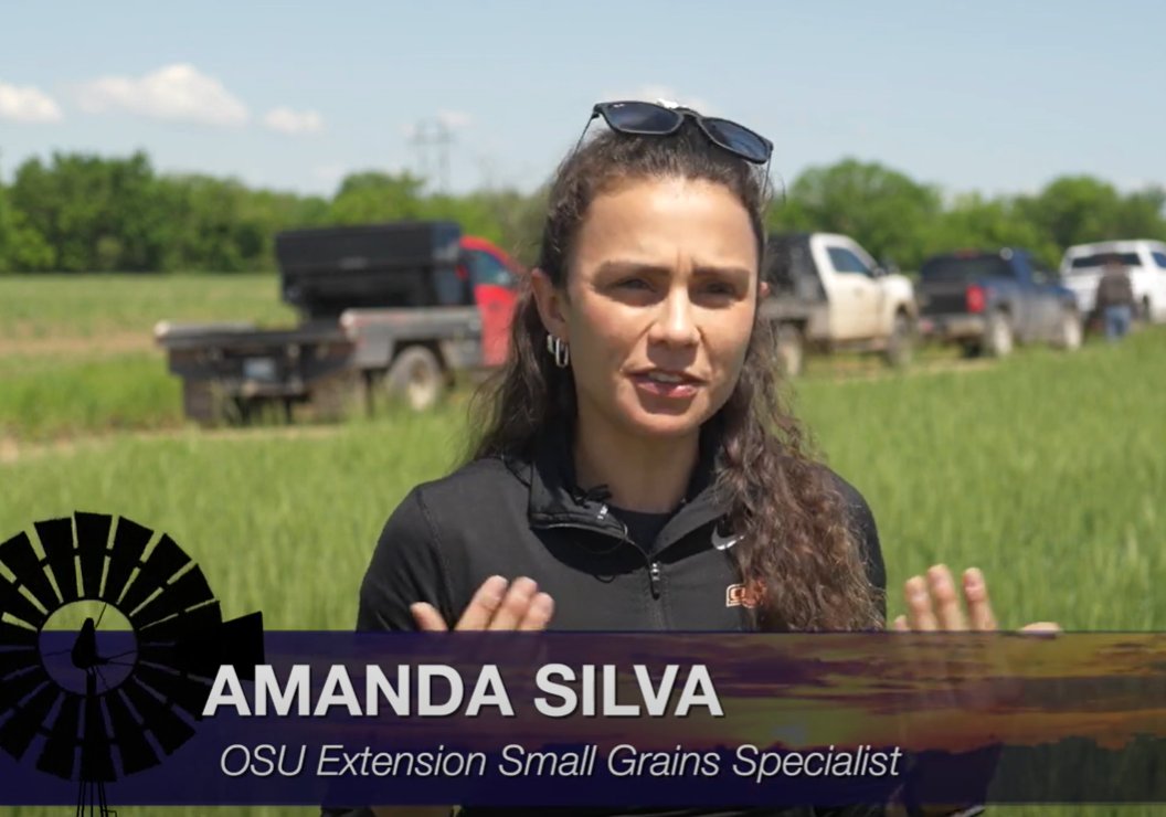 OSU_smallgrains's tweet image. 🌾 Check out this great episode on the SUNUP YouTube channel featuring our OSU Research and Extension partnership with Rendel Family Farms!
Watch it here 👉 youtube.com/watch?v=3x4BV4…