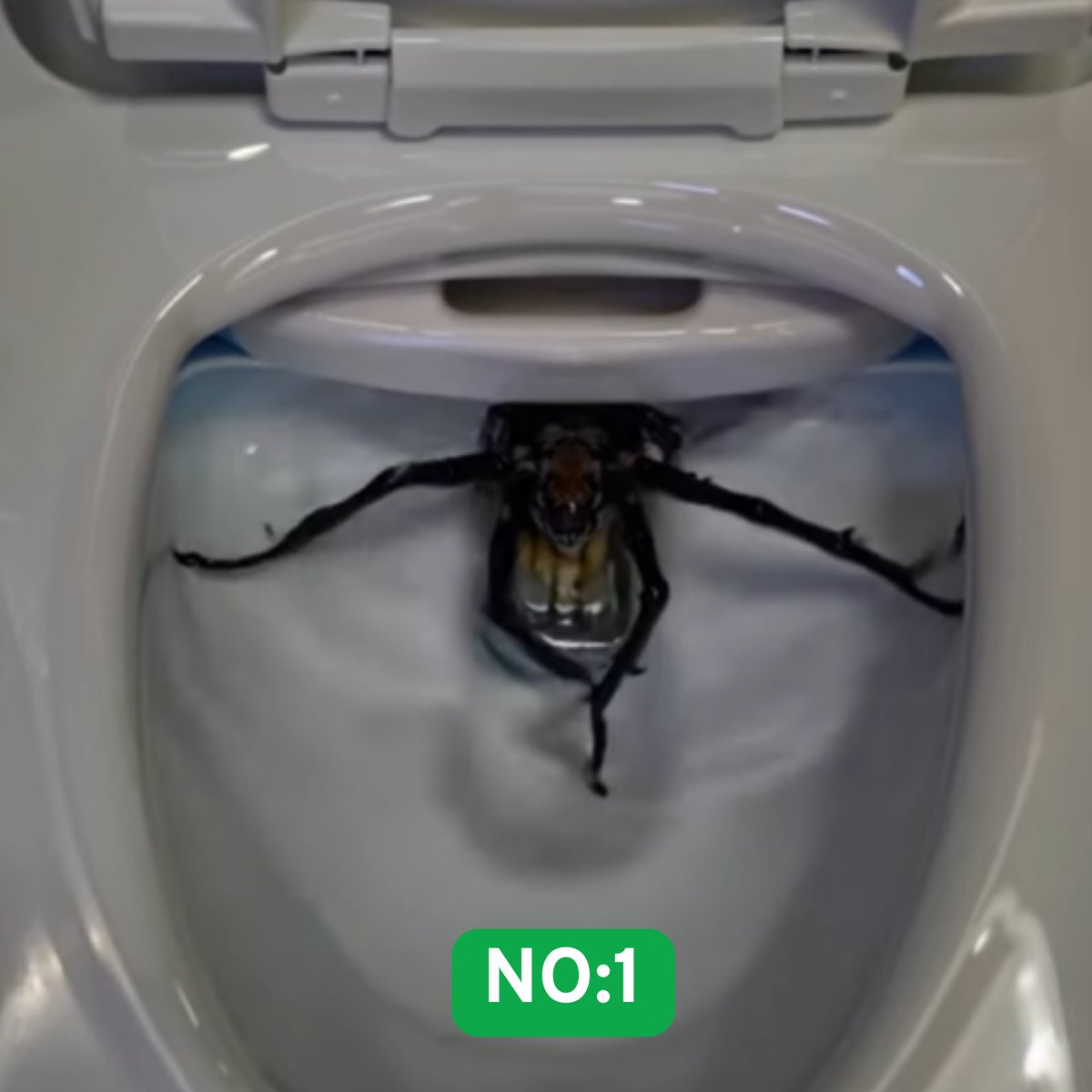 SynthiFrame's tweet image. First drop of SynthiFrame is here!

What happens when AI starts dreaming... inside a toilet bowl? 🕷️🚽