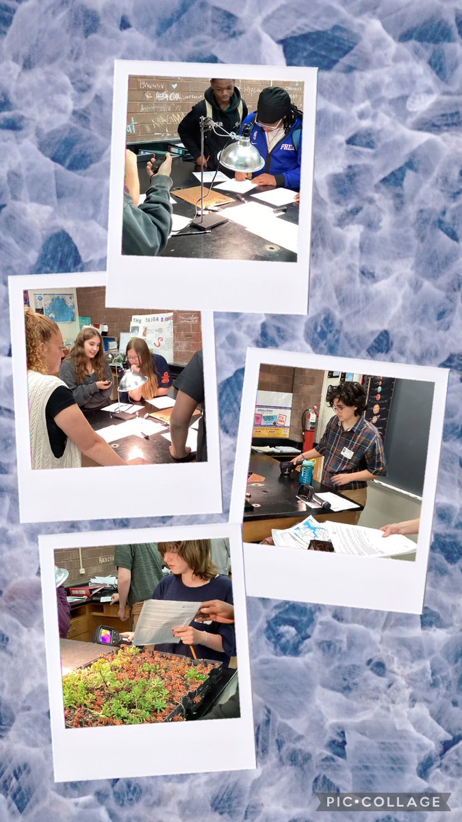 Manor High School (@manorhs757) on Twitter photo Thank you <a href="/vawesleyan/">Virginia Wesleyan University</a> for coming to Manor’s environmental science classes today and sharing your learning lab stations about Urban Heat Island effect. #PPSShines Thank you <a href="/vawesleyan/">Virginia Wesleyan University</a> for coming to Manor’s environmental science classes today and sharing your learning lab stations about Urban Heat Island effect. #PPSShines