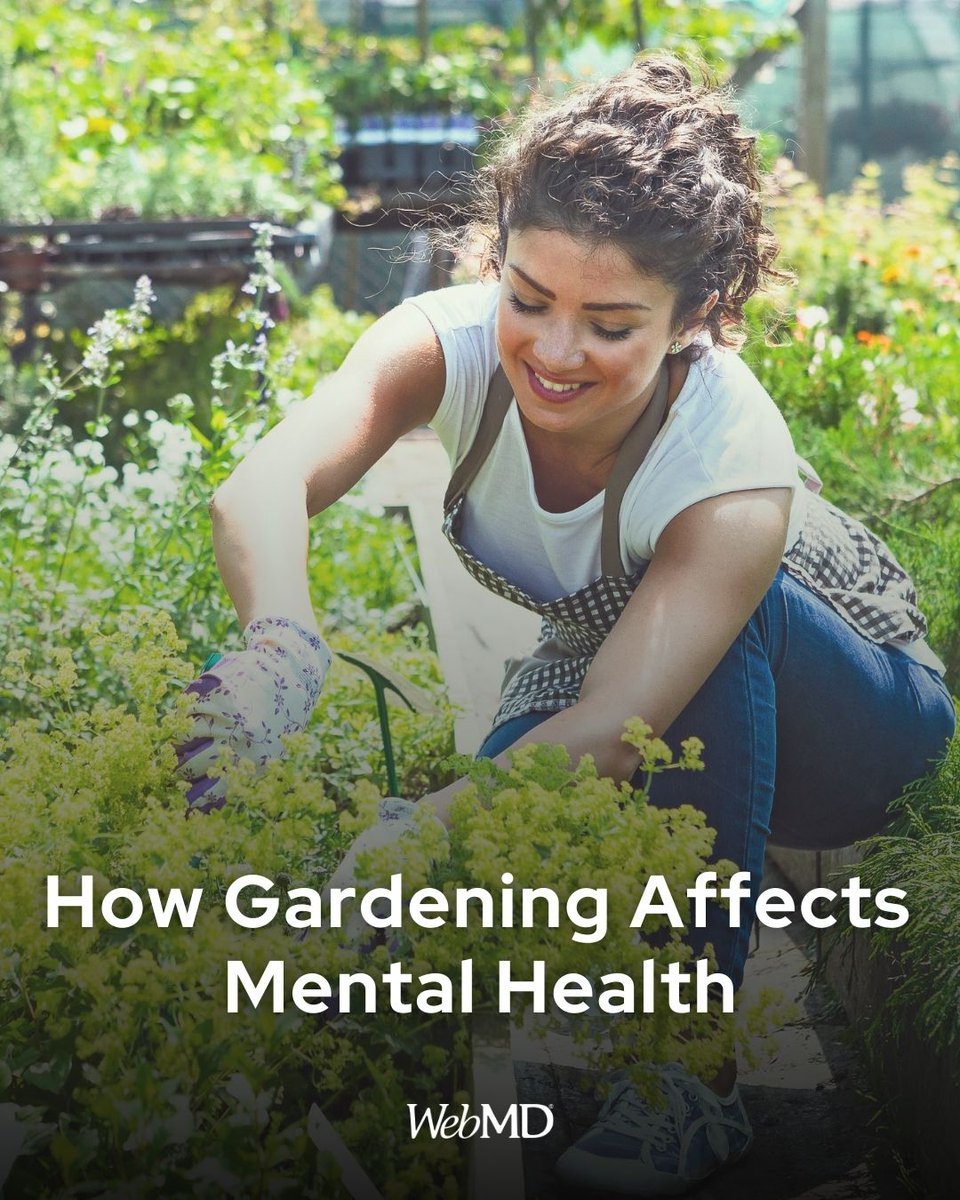 Gardening can make you feel more peaceful and content. Focusing your attention on the immediate tasks and details of gardening can reduce negative thoughts and feelings and can make you feel better in the moment. Just spending time around plants eases stress for many people.