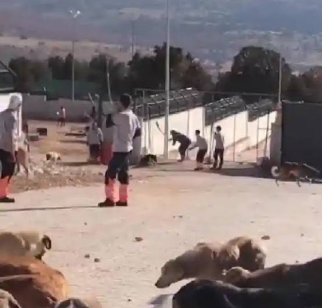 semasabun's tweet photo. Konya’da yaptığınız katliamı unutmadık, unutmayacağız. #GenclerBunuUnutmaz https://t.co/2A7kL62ufN