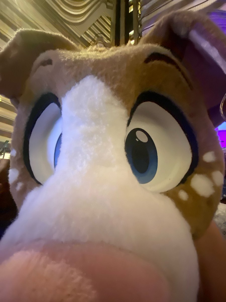 Oreocurl (@thatoreocurl) on Twitter photo FWA WAS AMAZING! and all i have are dumb photos of me zoomed in lmao ๐
๐ชก: <a href="/oakleycreations/">Oakleyโs Creations ๐ FD, MP, FM</a> FWA WAS AMAZING! and all i have are dumb photos of me zoomed in lmao ๐
๐ชก: <a href="/oakleycreations/">Oakleyโs Creations ๐ FD, MP, FM</a>