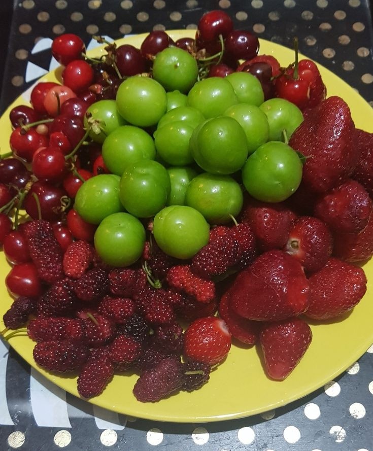 baskan bu direkt seks yav