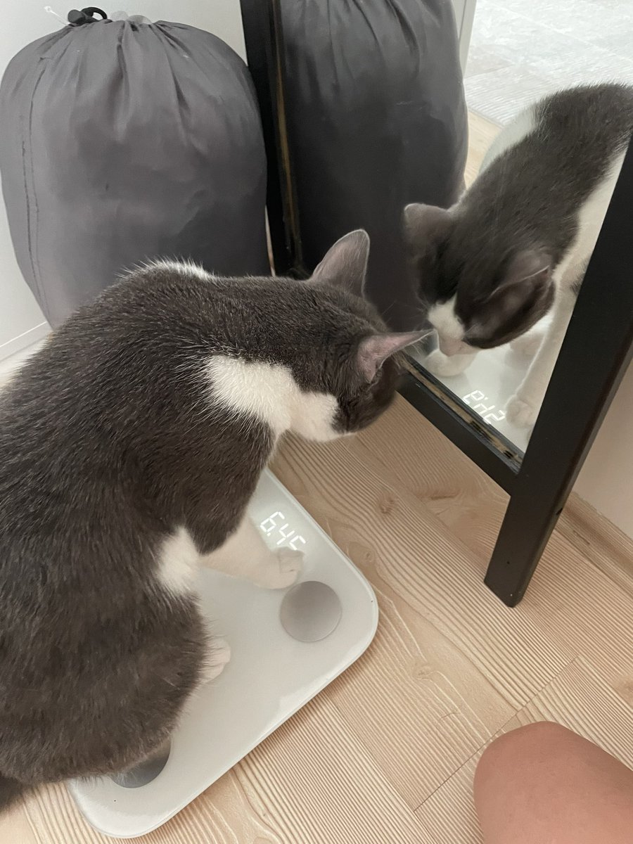 gözaltına alındı