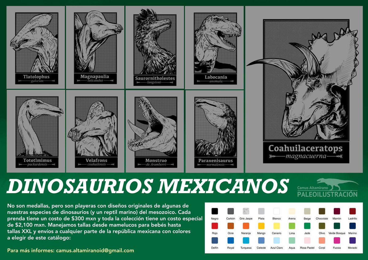 CamusAltamirano (@camusaltamirano) on Twitter photo 