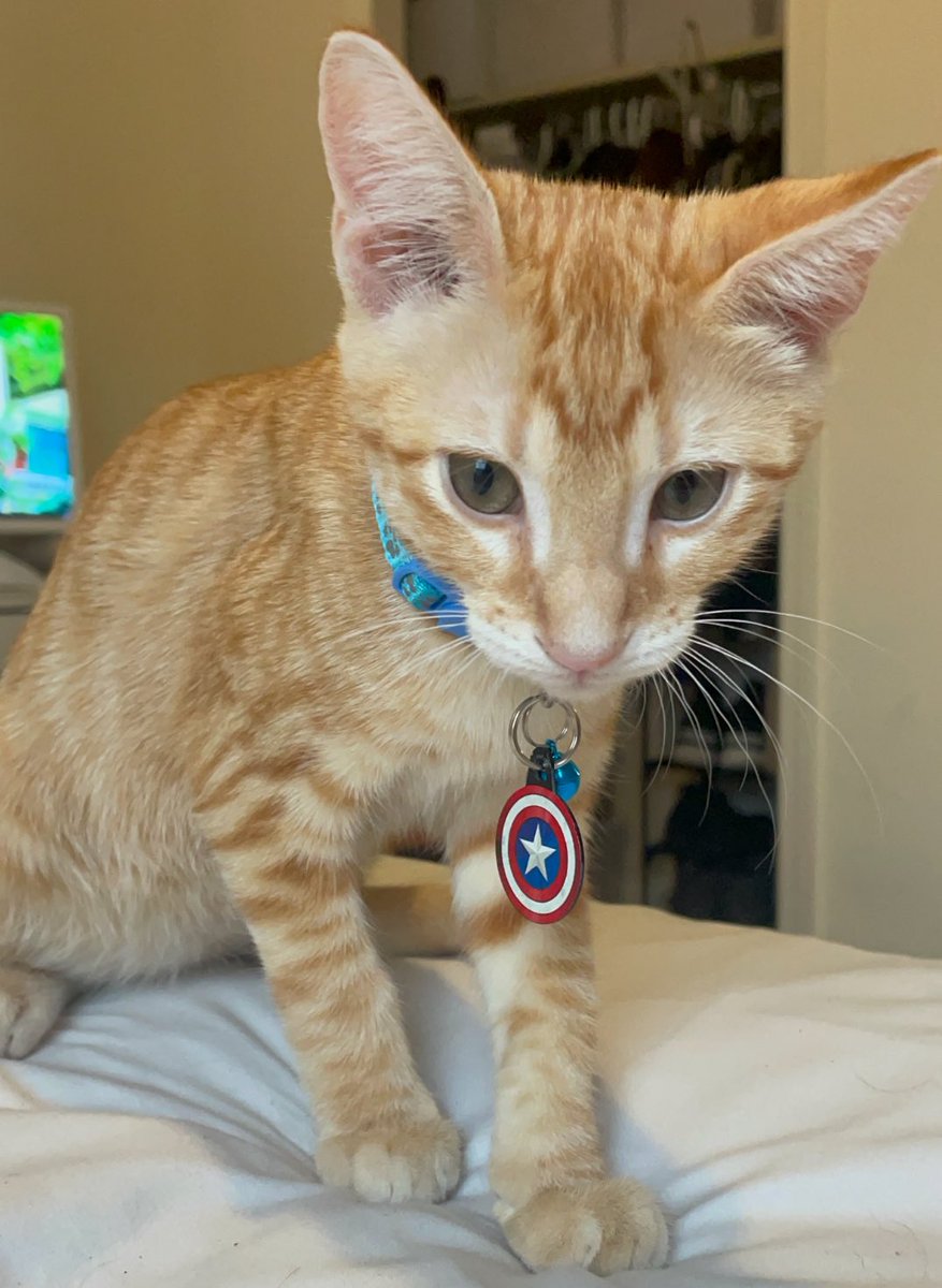 American Themed Superheroes!! tweet media