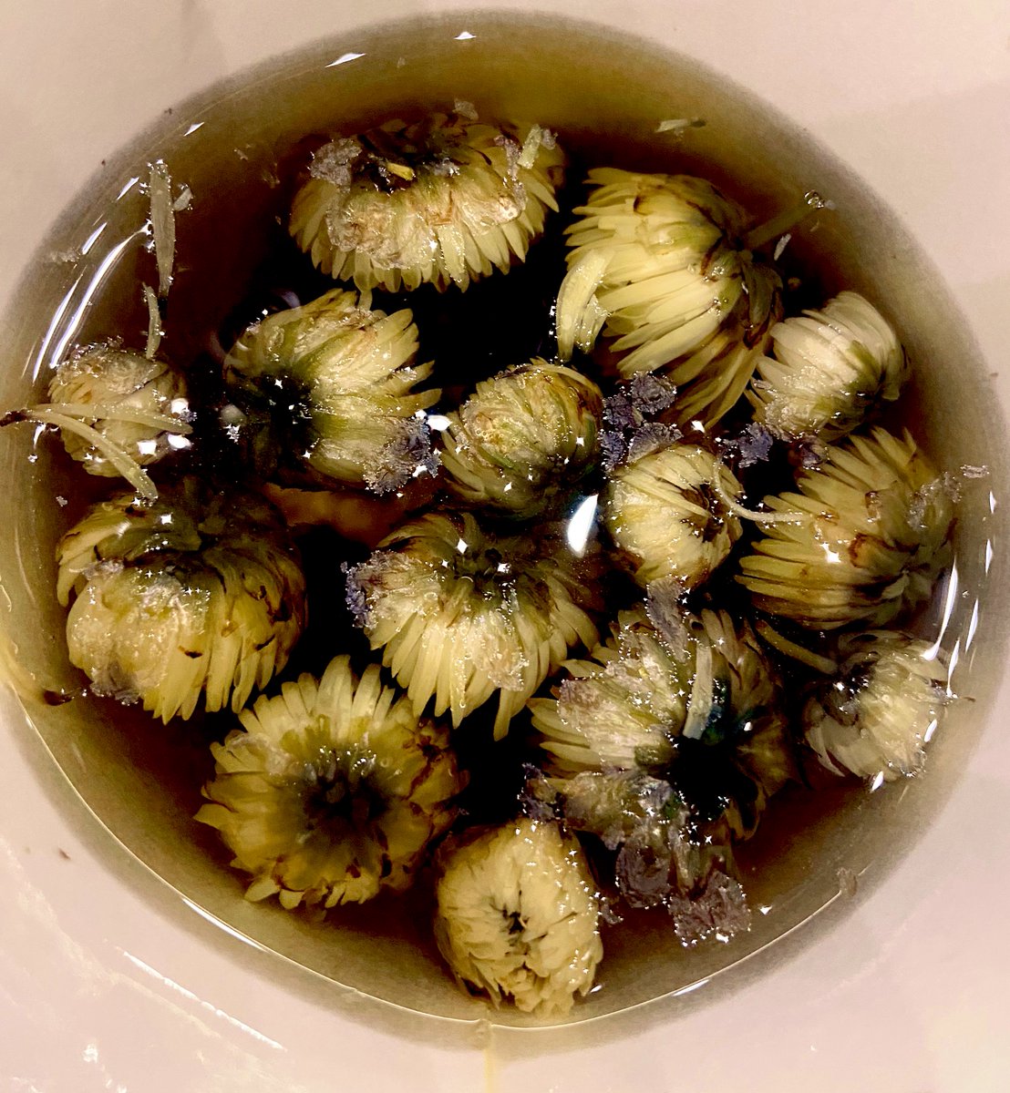 DaniInGeneral's tweet image. Birds &amp;amp; Blooms