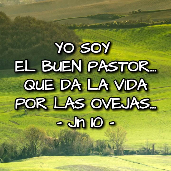 cuidado, detalle, amor (@creercuidar) on Twitter photo 