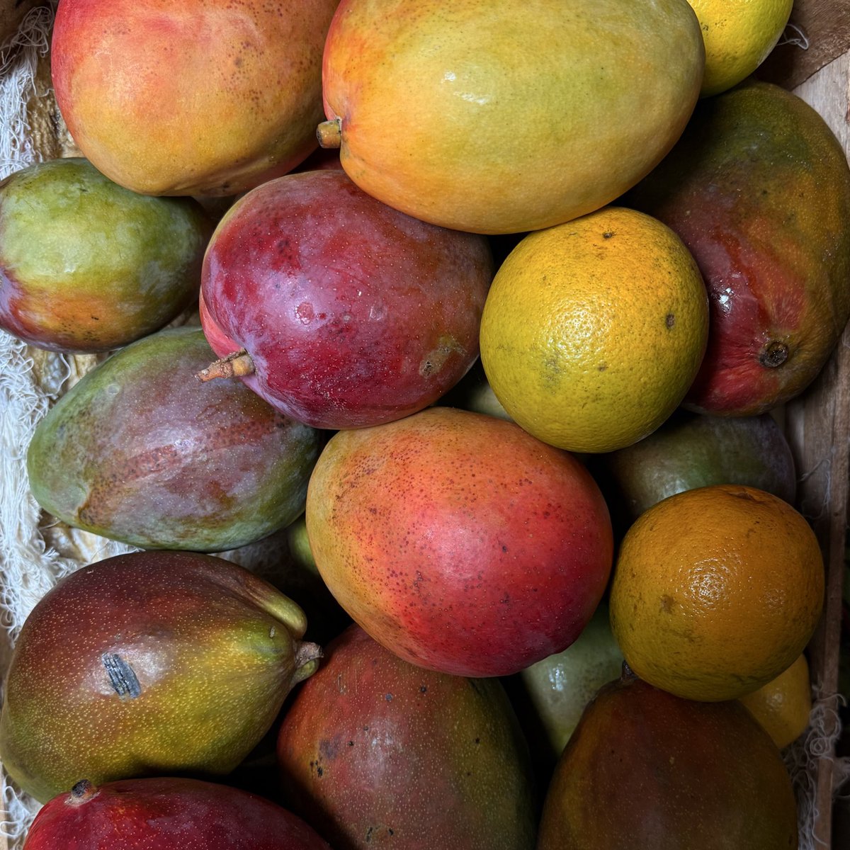 Estação Primeira de Mangueira ⚡️🌪️ tweet media