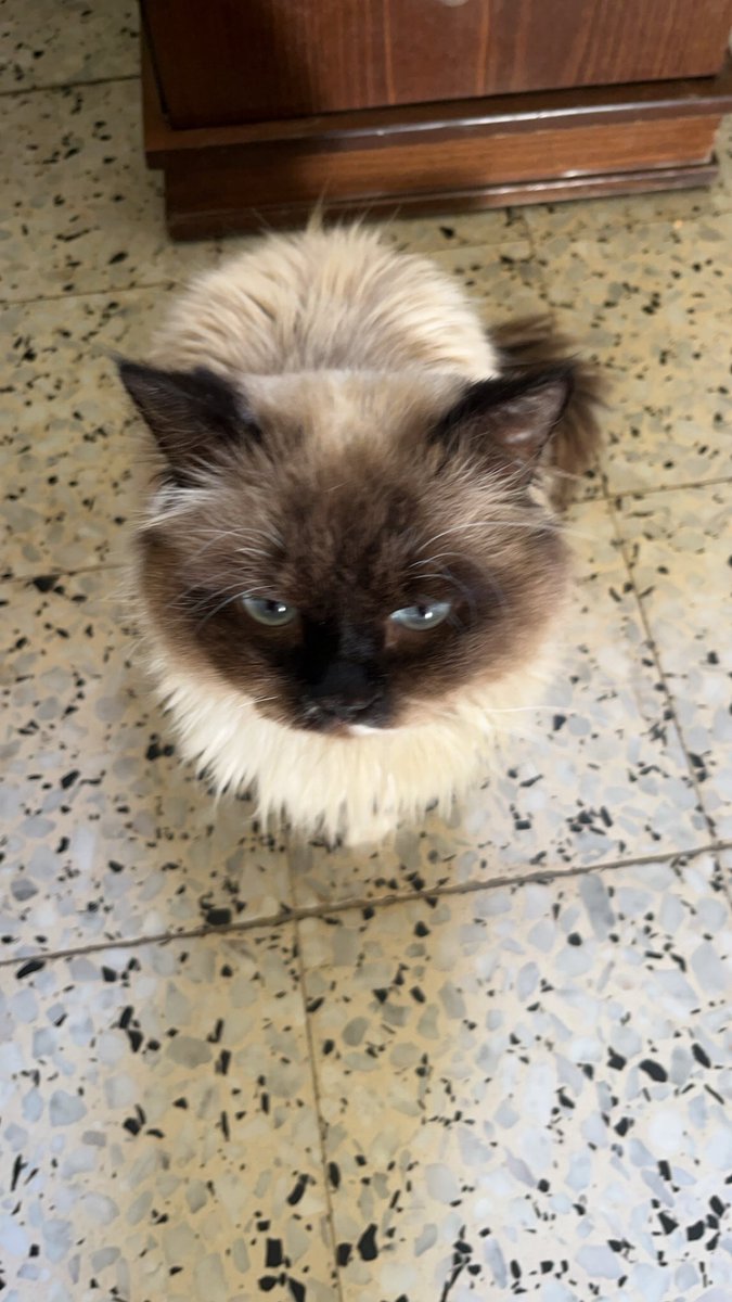 Mo7mmd30's tweet image. I haven’t been posting like I used to cuz the engagement on my accoint dropped a lot, and my tweets no longer reach everyone. If u see this tweet, please interact with it — even a like would help. I’d really appreciate it if you could help share my account.