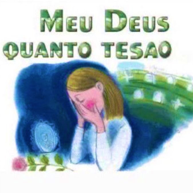 willwill 🚨 (@iamwillwill) on Twitter photo 