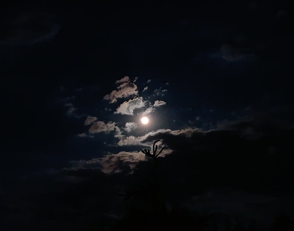 Има нешто во тебе што ме тера да ги откопчам сите копчиња од душава
Да ти речам-Влези. Тука припаѓаш.
Има нешто во тебе што го осветлува мојот мрак
А пак...копнеам по твојата длабочина сокриена во темнина.
Има нешто во тебе
Диво
Нескротливо
Магично
Далечно, а толку блиско
Мое.